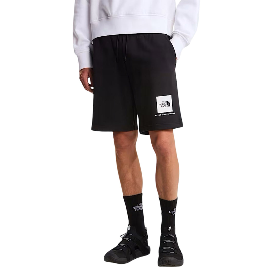 The north face shorts