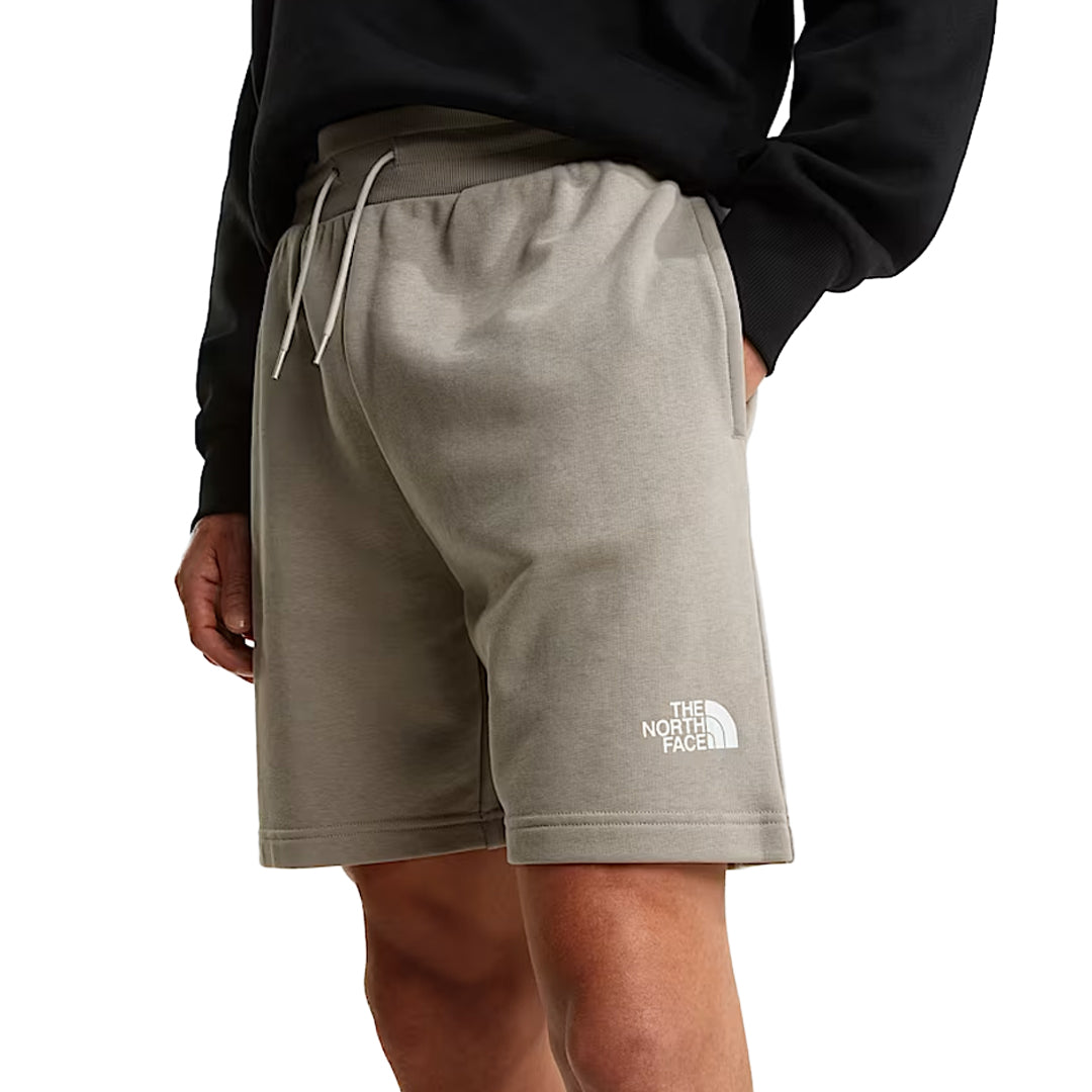 The north face shorts