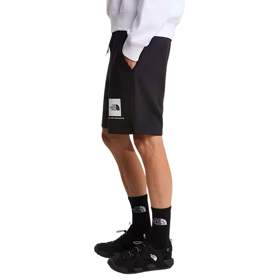 The north face shorts