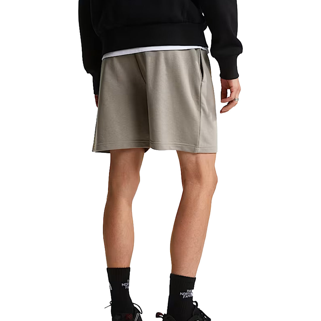 The north face shorts