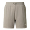 The north face shorts