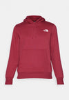 The North Face Raglan Box Hoodie